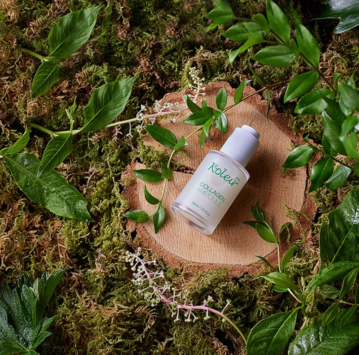 KOLEUR Collagen Ampoule placed on a wooden slice, surrounded by green leaves and moss.