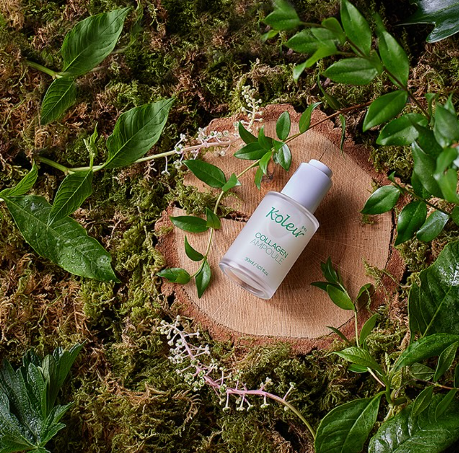 KOLEUR Collagen Ampoule placed on a wooden slice, surrounded by green leaves and moss.