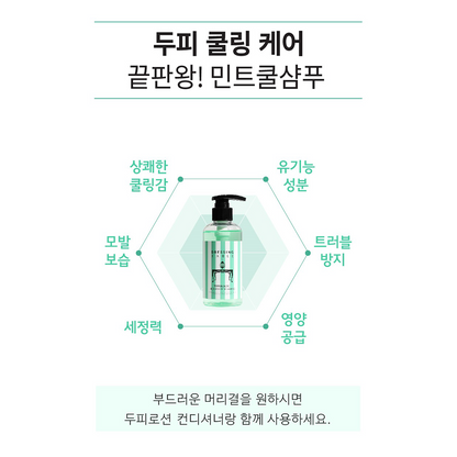 [DressingTable] Mint Cool Shampoo