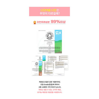 [드레싱테이블] 스킨처음 스킨