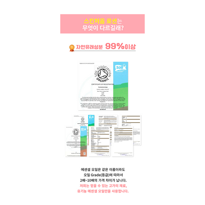 [드레싱테이블] 스킨처음 로션