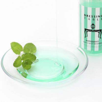 Dish wish mint green liquid and mint leaves